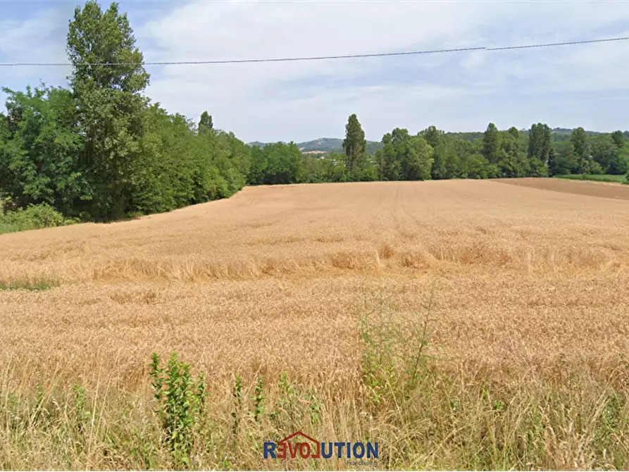 Immagine 5 di Terreno agricolo in vendita  in Via dei Petricci a Umbertide
