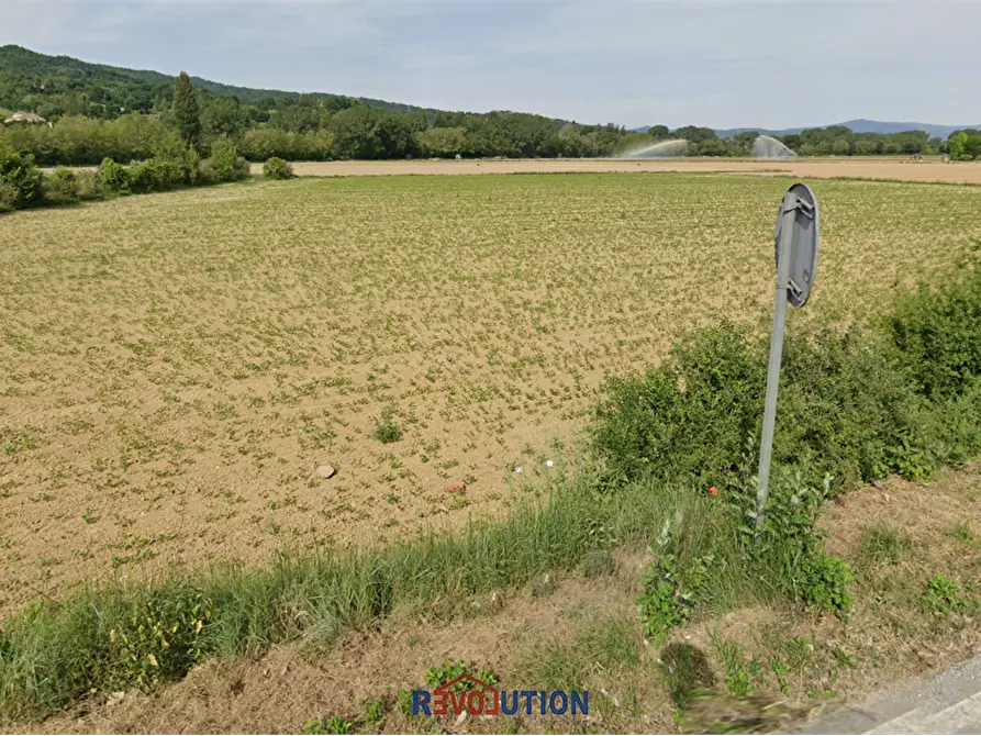 Immagine 6 di Terreno agricolo in vendita  in Via dei Petricci a Umbertide