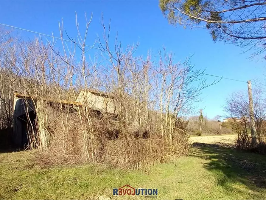 Immagine 23 di Rustico / casale in vendita  in vocabolo ercolano a Citerna