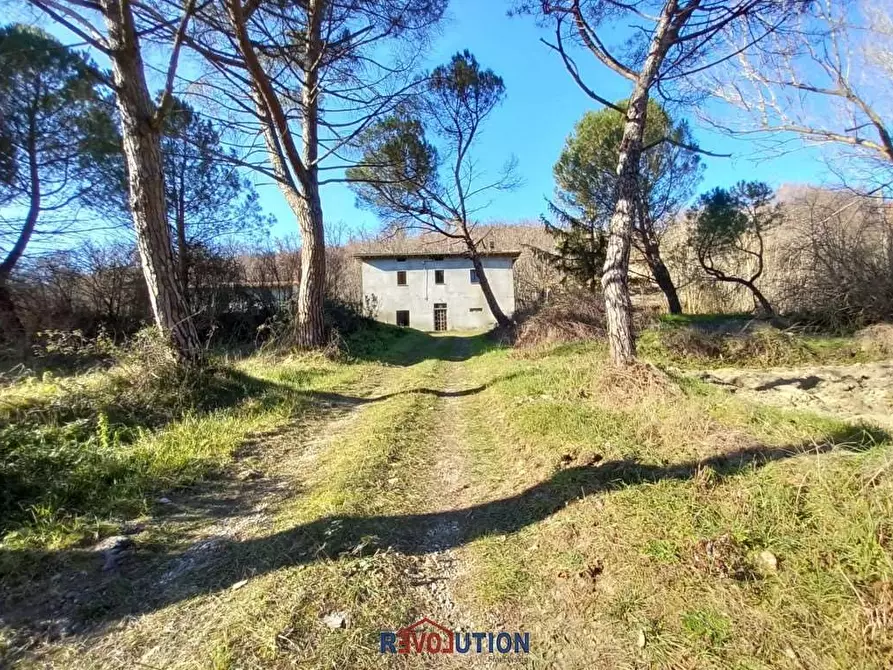 Immagine 26 di Rustico / casale in vendita  in vocabolo ercolano a Citerna