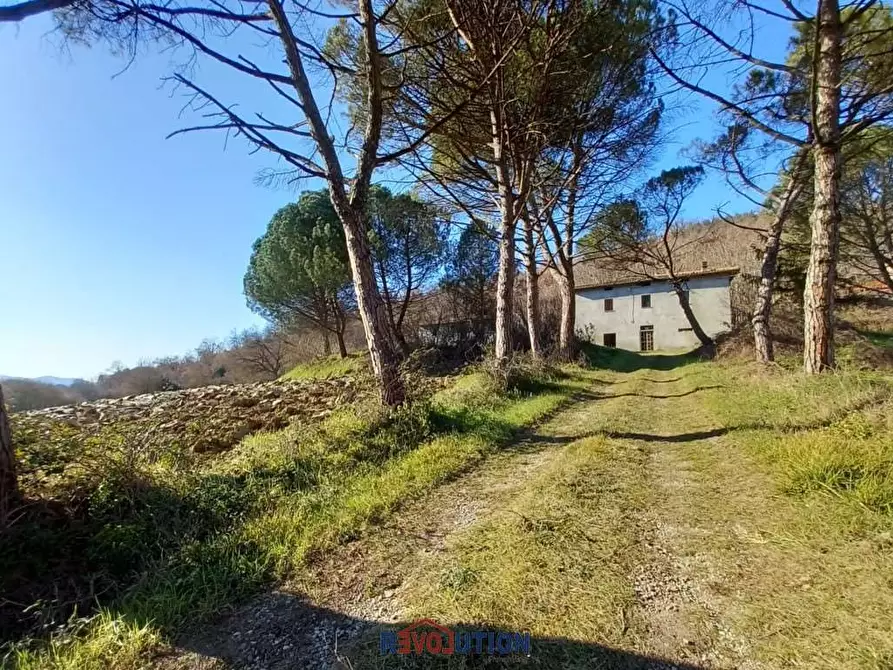 Immagine 28 di Rustico / casale in vendita  in vocabolo ercolano a Citerna