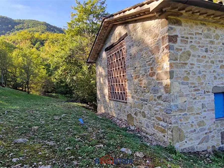 Immagine 5 di Rustico / casale in vendita  in Seano a Cortona