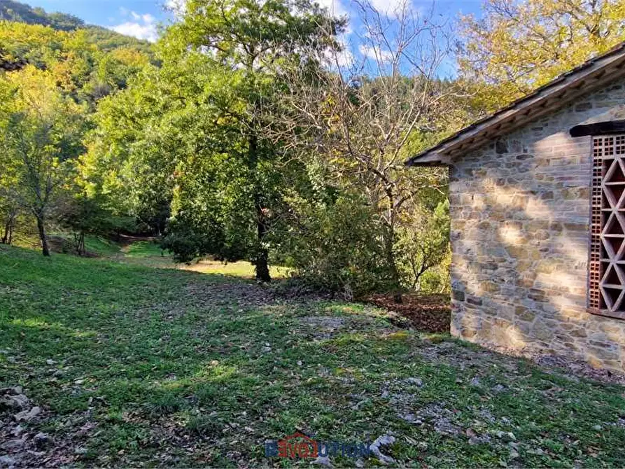 Immagine 8 di Rustico / casale in vendita  in Seano a Cortona