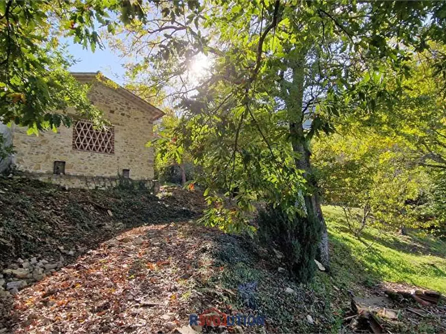Immagine 9 di Rustico / casale in vendita  in Seano a Cortona