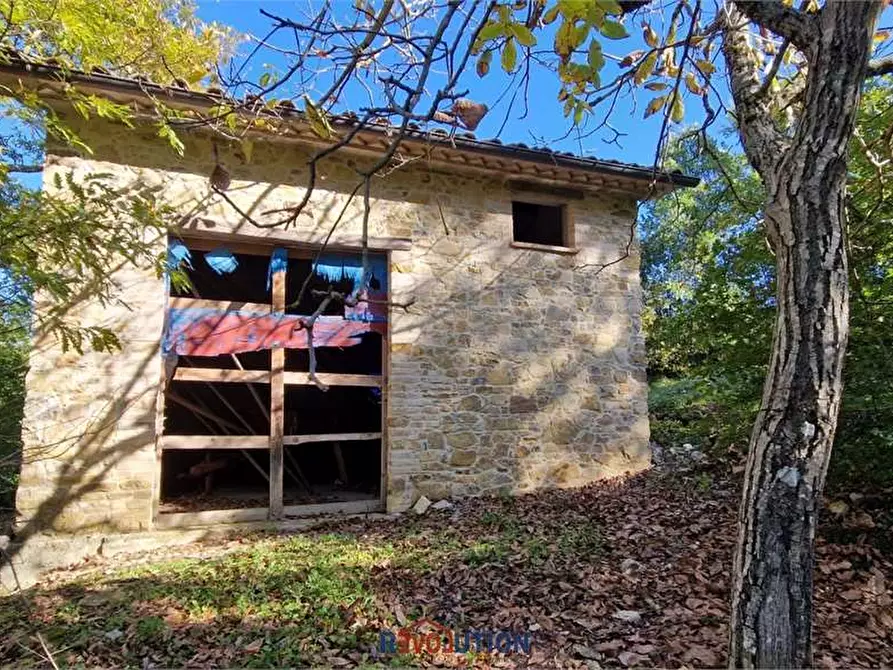Immagine 11 di Rustico / casale in vendita  in Seano a Cortona