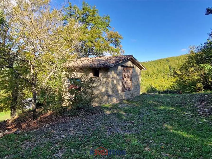 Immagine 12 di Rustico / casale in vendita  in Seano a Cortona
