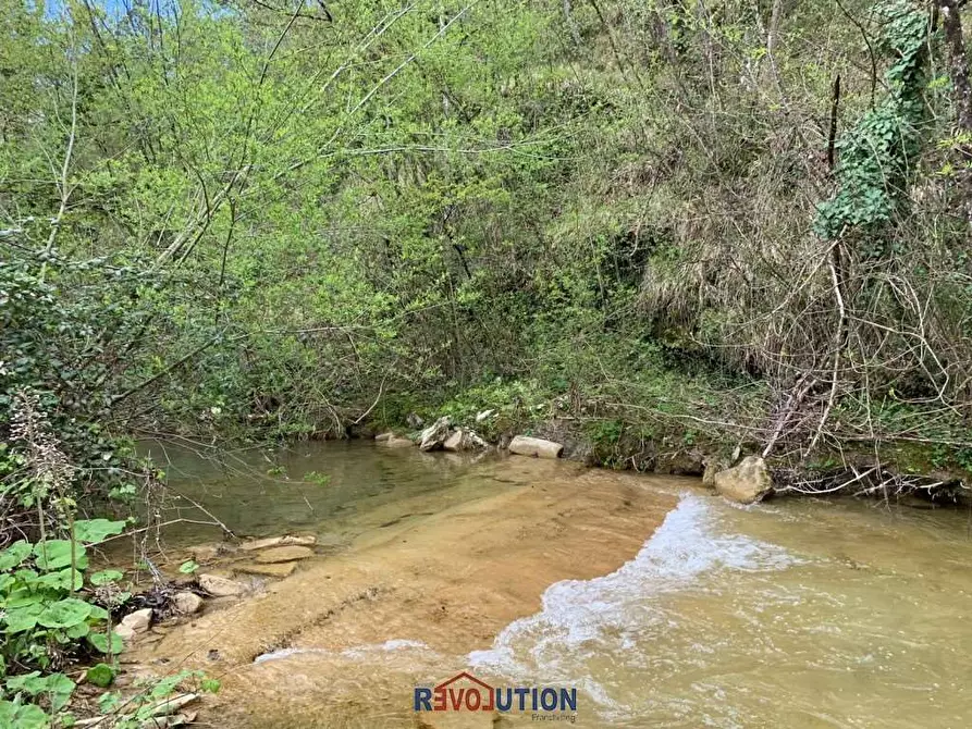 Immagine 35 di Rustico / casale in vendita  in renzetti a San Giustino