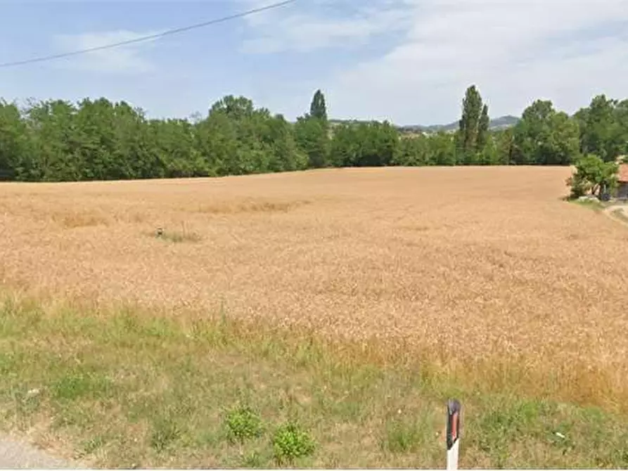 Immagine 4 di Terreno agricolo in vendita  in Via dei Petricci a Umbertide