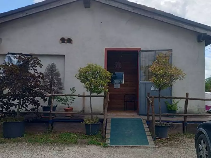 Immagine 29 di Laboratorio in vendita  in Località Capanne a San Giustino