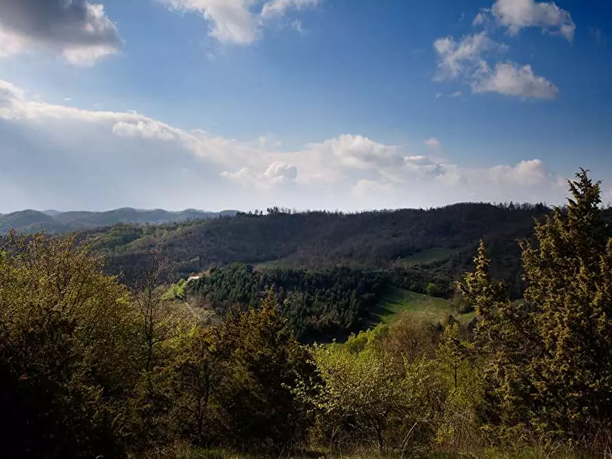 Immagine 9 di Rustico / casale in vendita  in Belvedere a Città Di Castello