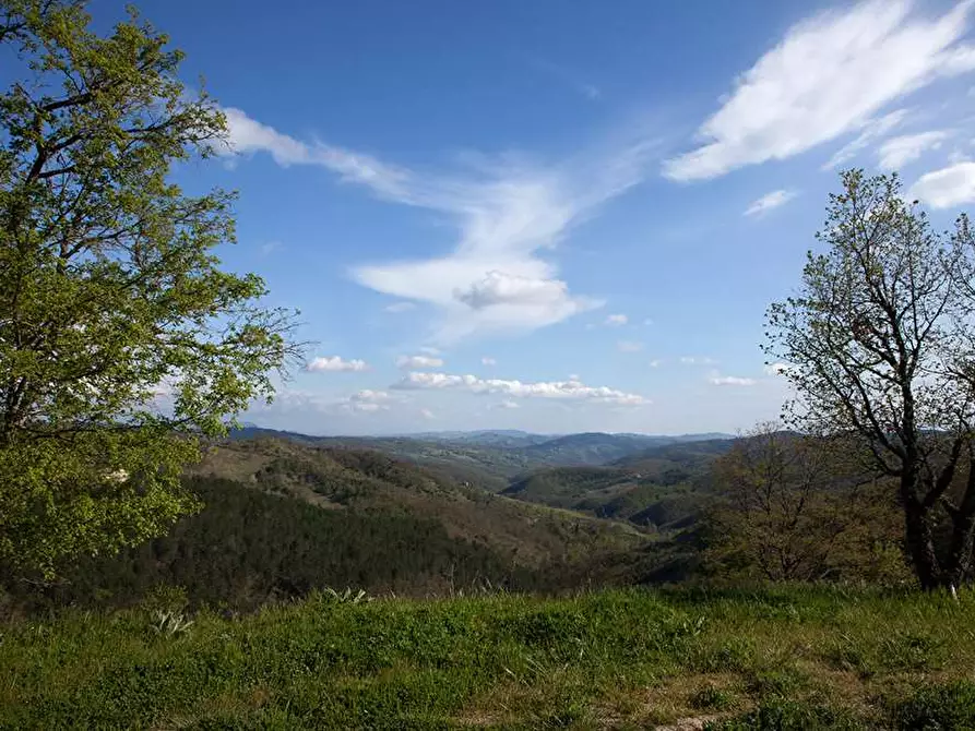 Immagine 10 di Rustico / casale in vendita  in Belvedere a Città Di Castello