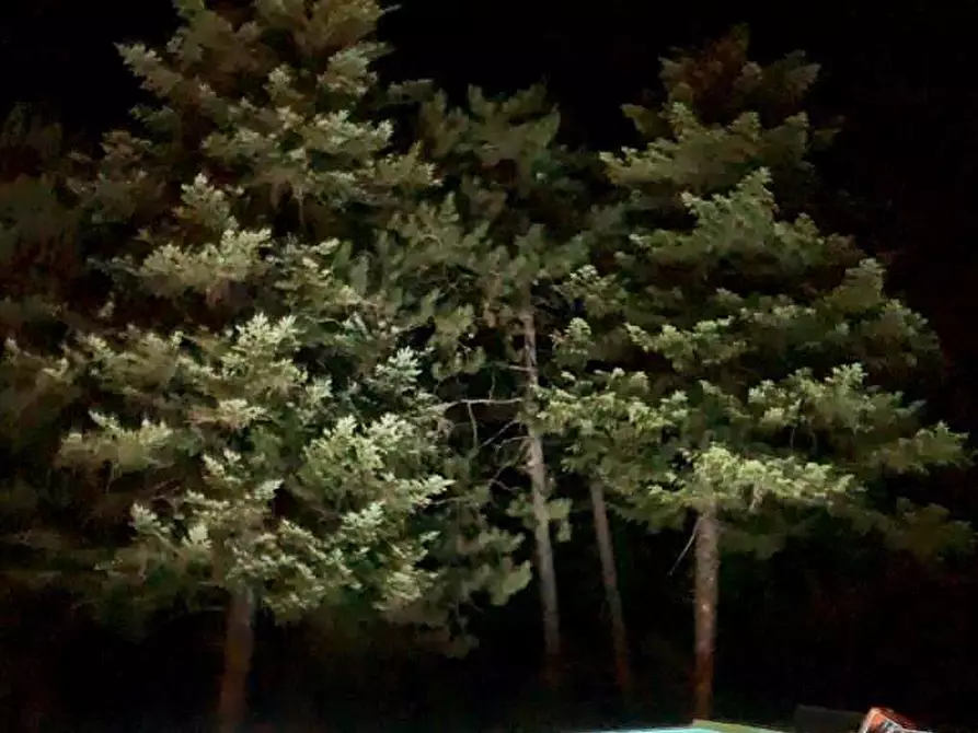 Immagine 13 di Rustico / casale in vendita  in Belvedere a Città Di Castello