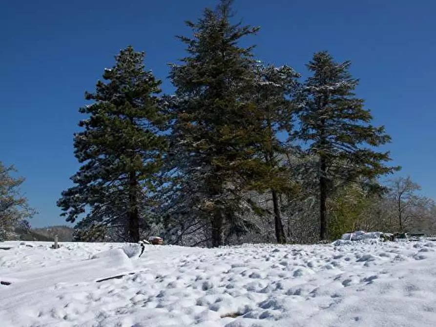 Immagine 25 di Rustico / casale in vendita  in Belvedere a Città Di Castello