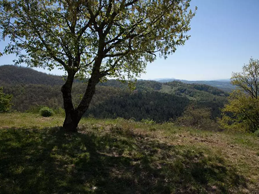 Immagine 32 di Rustico / casale in vendita  in Belvedere a Città Di Castello