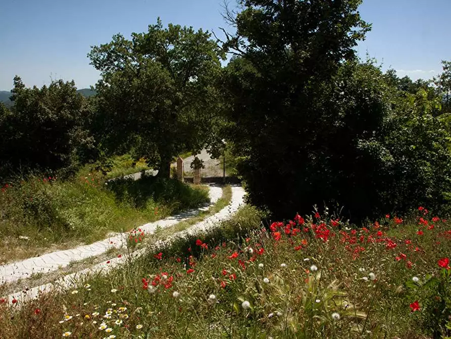 Immagine 37 di Rustico / casale in vendita  in Belvedere a Città Di Castello
