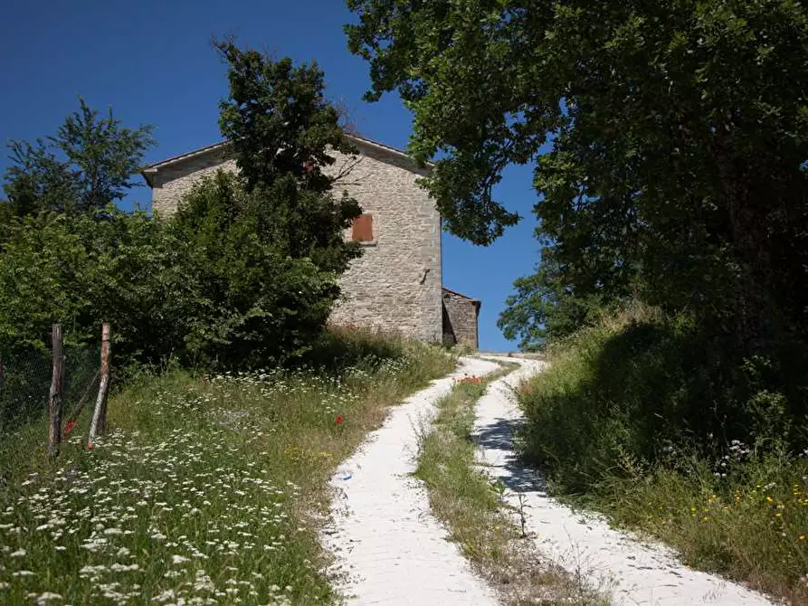 Immagine 38 di Rustico / casale in vendita  in Belvedere a Città Di Castello