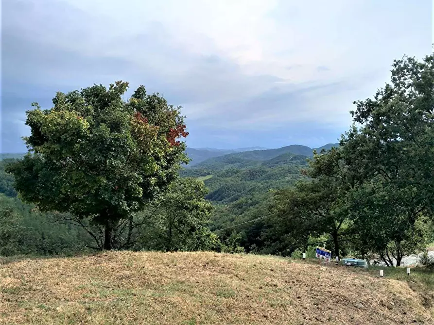 Immagine 63 di Rustico / casale in vendita  in Belvedere a Città Di Castello