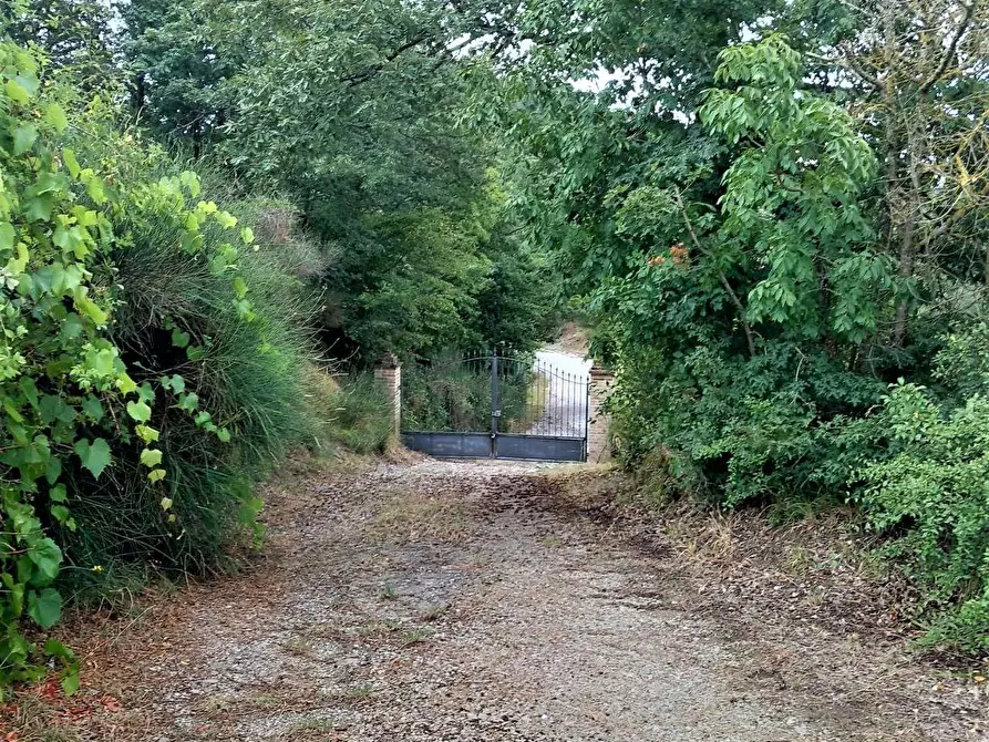 Immagine 84 di Rustico / casale in vendita  in Belvedere a Città Di Castello