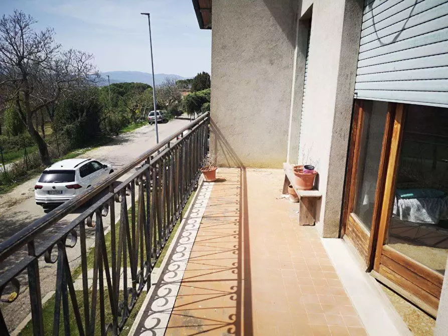 Immagine 11 di Casa indipendente in vendita  in Celalba a San Giustino