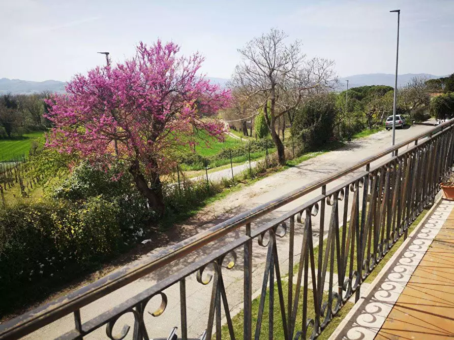 Immagine 12 di Casa indipendente in vendita  in Celalba a San Giustino