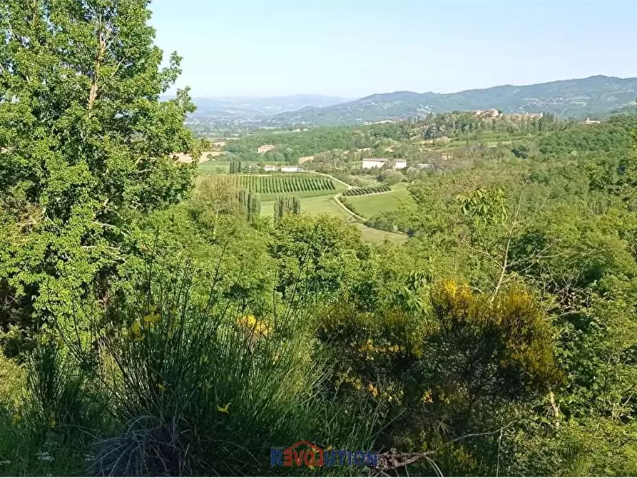 Immagine 23 di Rustico / casale in vendita  in Lugnano a Città Di Castello