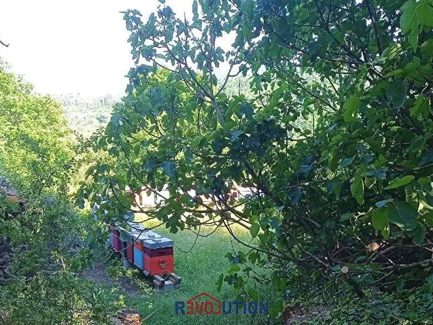 Immagine 27 di Rustico / casale in vendita  in Lugnano a Città Di Castello