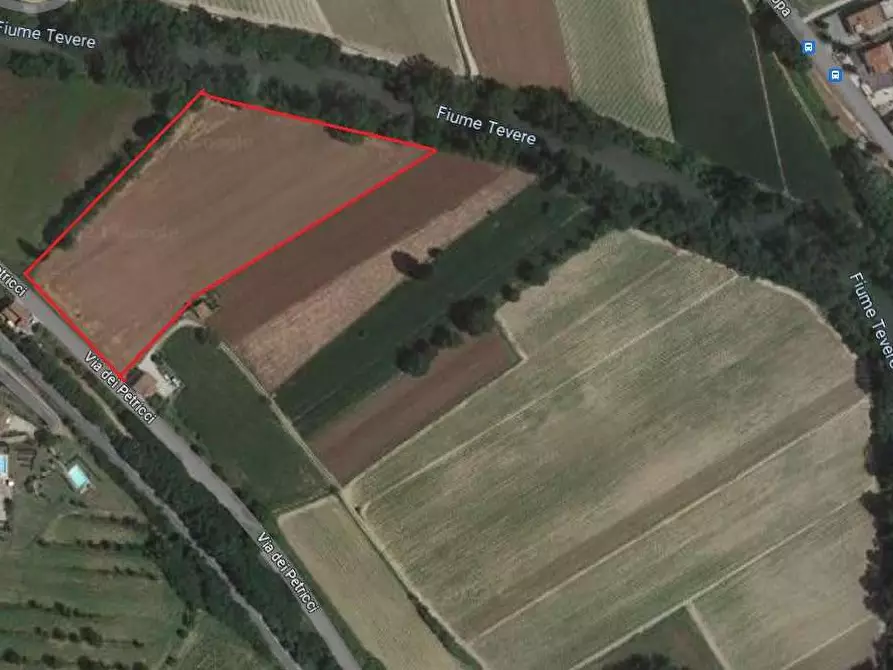 Immagine 8 di Terreno agricolo in vendita  in Via dei Petricci a Umbertide