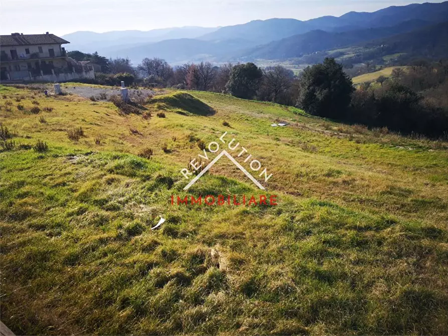 Immagine 5 di Terreno edificabile in vendita  in Via Umberto Marinari a Anghiari