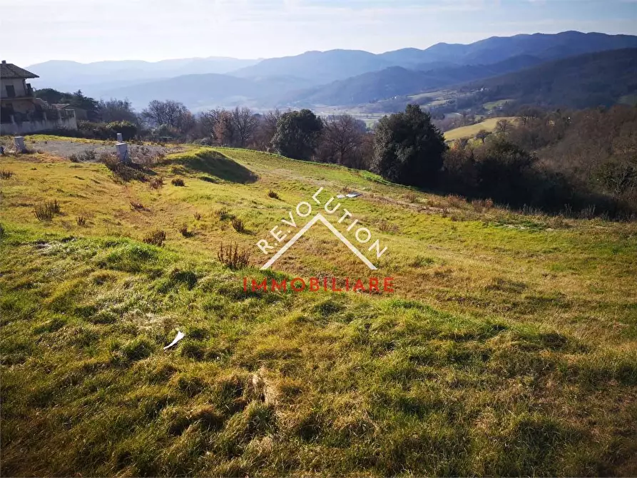 Immagine 6 di Terreno edificabile in vendita  in Via Umberto Marinari a Anghiari