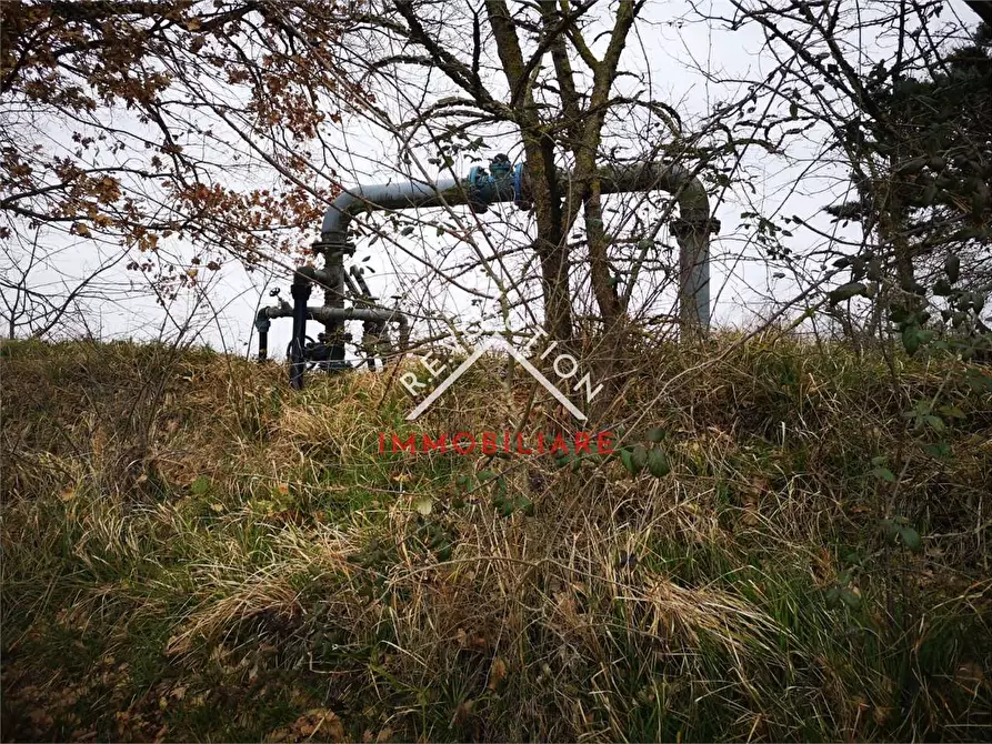 Immagine 4 di Terreno agricolo in vendita  in San Martin D'Upò a Città Di Castello