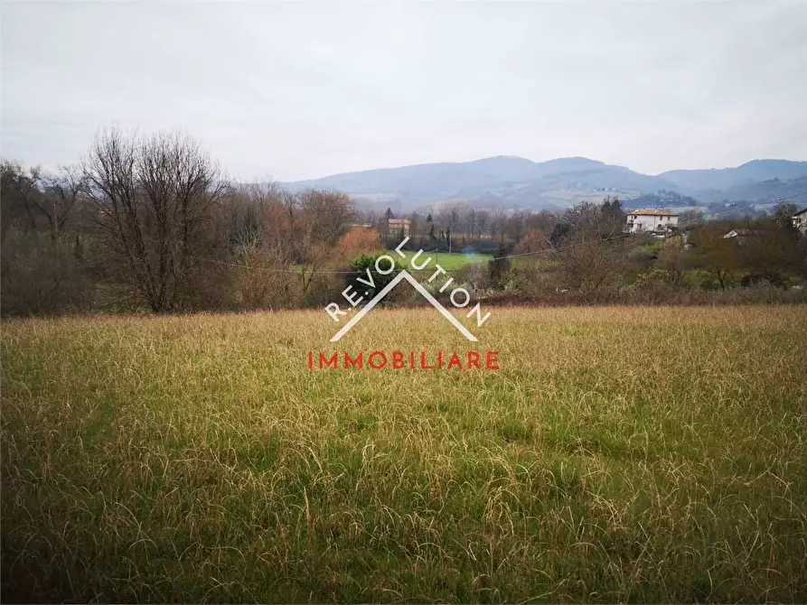 Immagine 9 di Terreno agricolo in vendita  in San Martin D'Upò a Città Di Castello