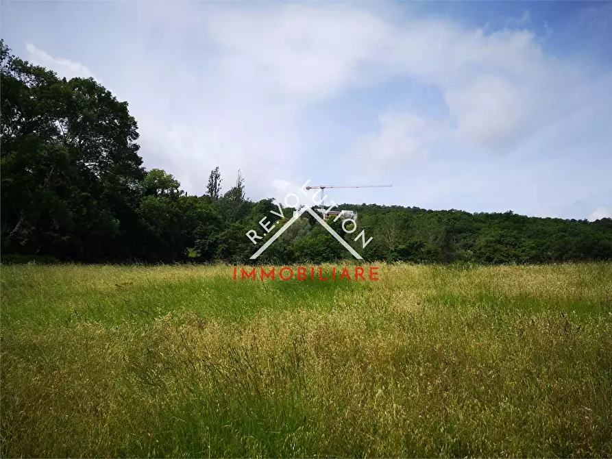 Immagine 2 di Terreno agricolo in vendita  in Via Aretina a Città Di Castello