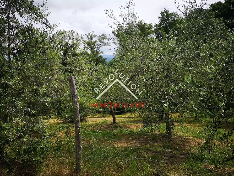 Immagine 3 di Terreno agricolo in vendita  in Via Aretina a Città Di Castello