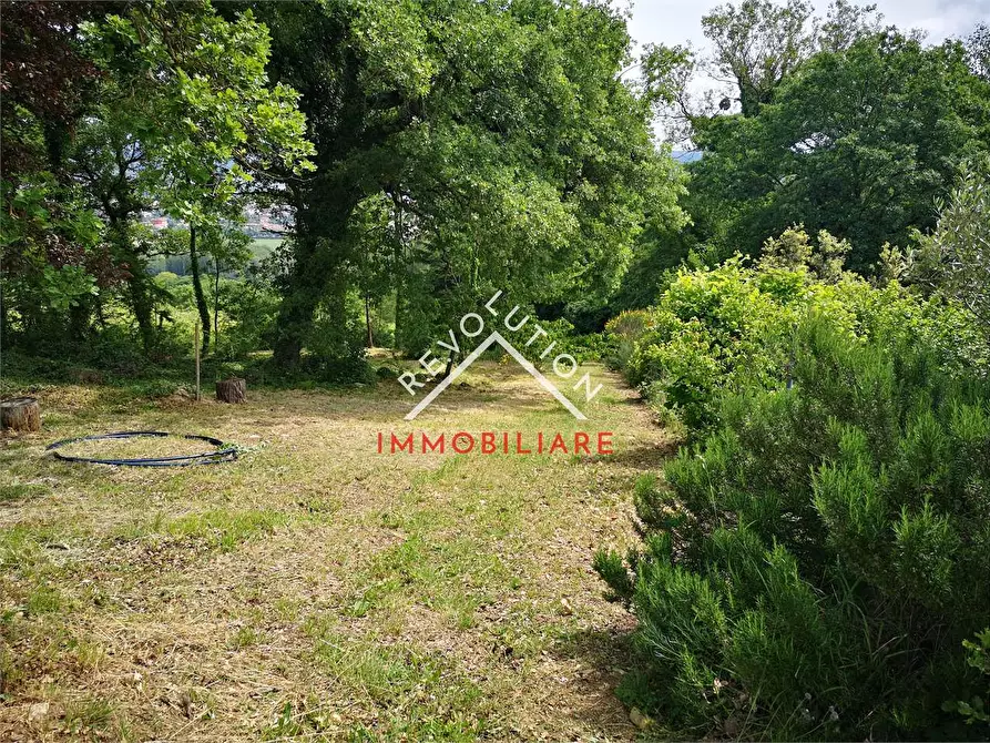 Immagine 4 di Terreno agricolo in vendita  in Via Aretina a Città Di Castello
