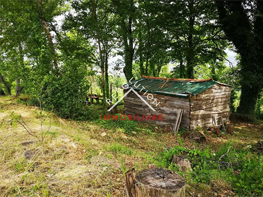 Immagine 5 di Terreno agricolo in vendita  in Via Aretina a Città Di Castello
