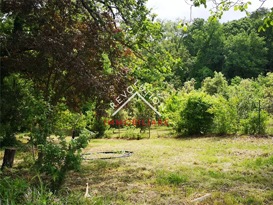 Immagine 6 di Terreno agricolo in vendita  in Via Aretina a Città Di Castello