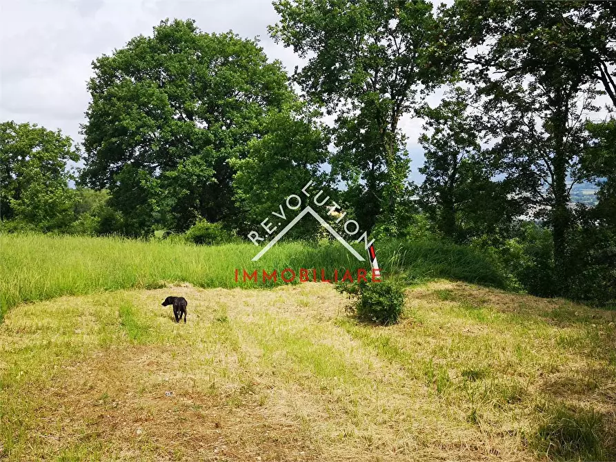 Immagine 7 di Terreno agricolo in vendita  in Via Aretina a Città Di Castello