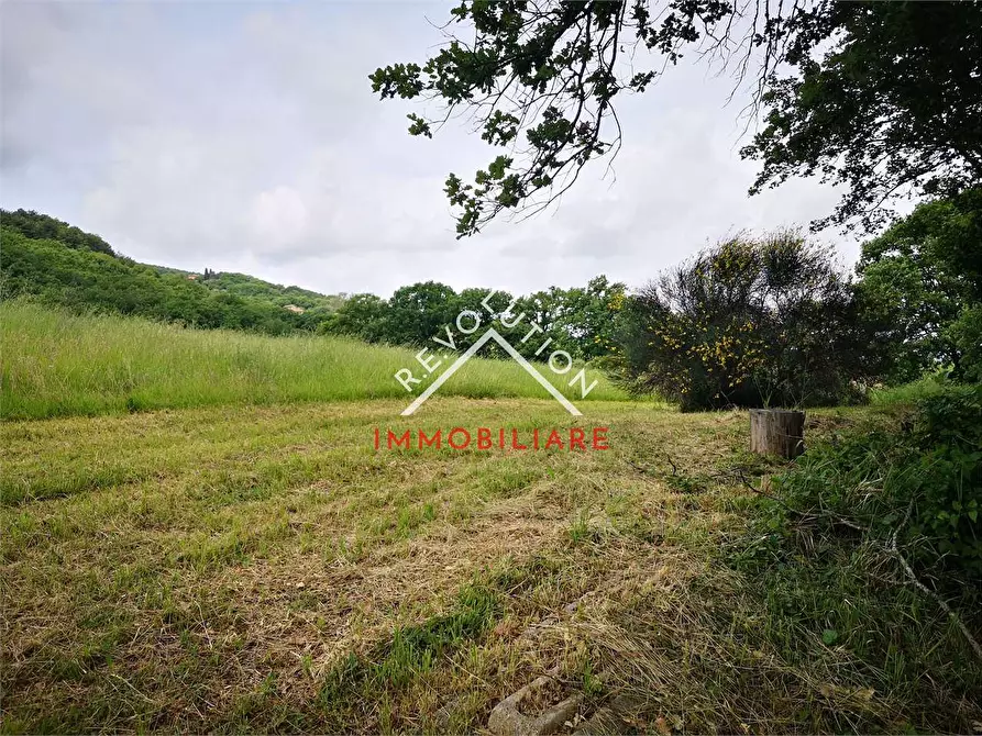 Immagine 8 di Terreno agricolo in vendita  in Via Aretina a Città Di Castello