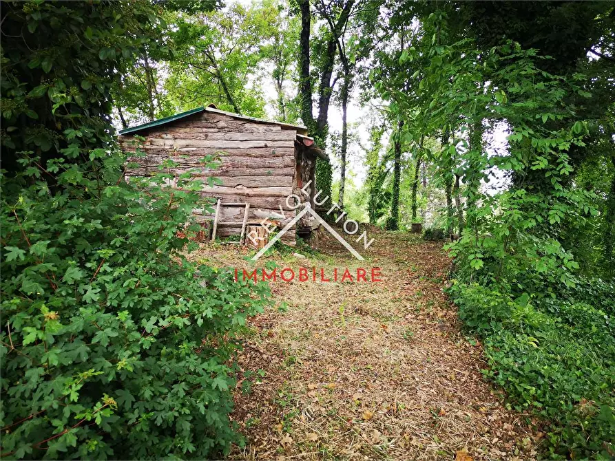 Immagine 9 di Terreno agricolo in vendita  in Via Aretina a Città Di Castello