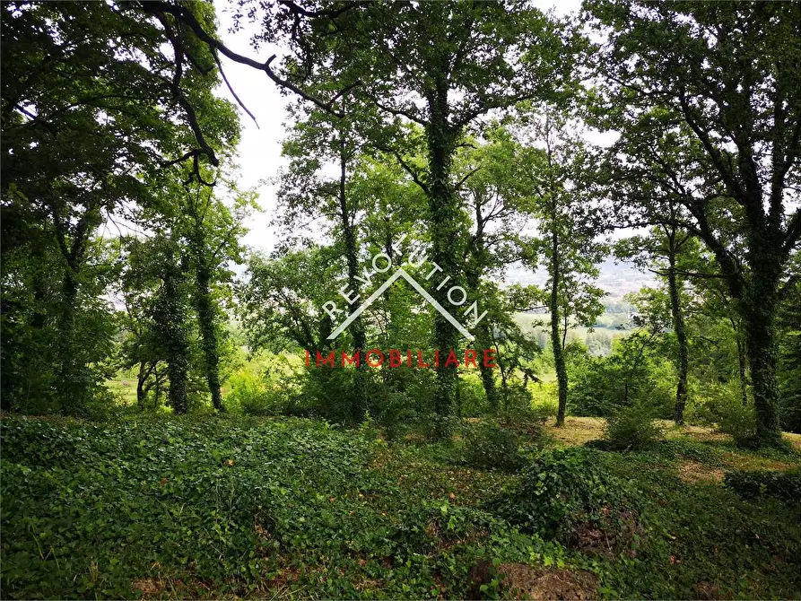 Immagine 10 di Terreno agricolo in vendita  in Via Aretina a Città Di Castello