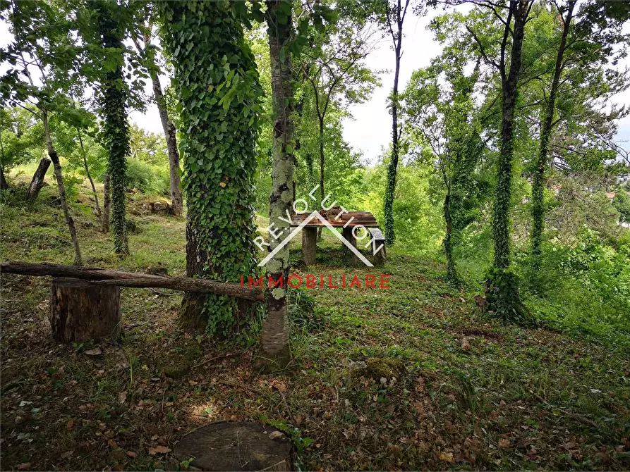 Immagine 13 di Terreno agricolo in vendita  in Via Aretina a Città Di Castello