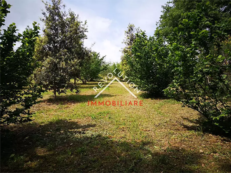 Immagine 17 di Terreno agricolo in vendita  in Via Aretina a Città Di Castello