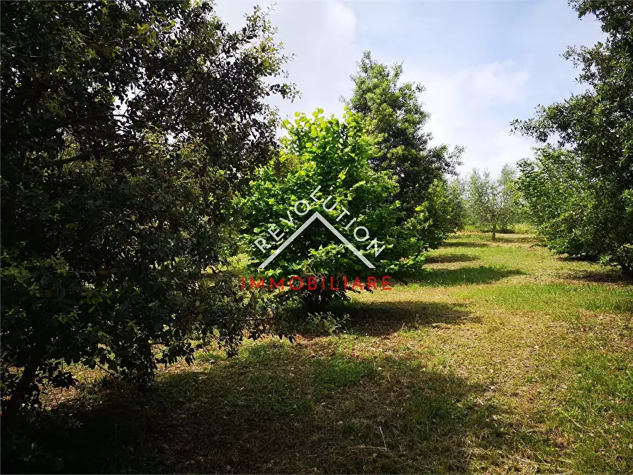 Immagine 18 di Terreno agricolo in vendita  in Via Aretina a Città Di Castello