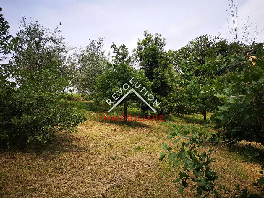 Immagine 19 di Terreno agricolo in vendita  in Via Aretina a Città Di Castello