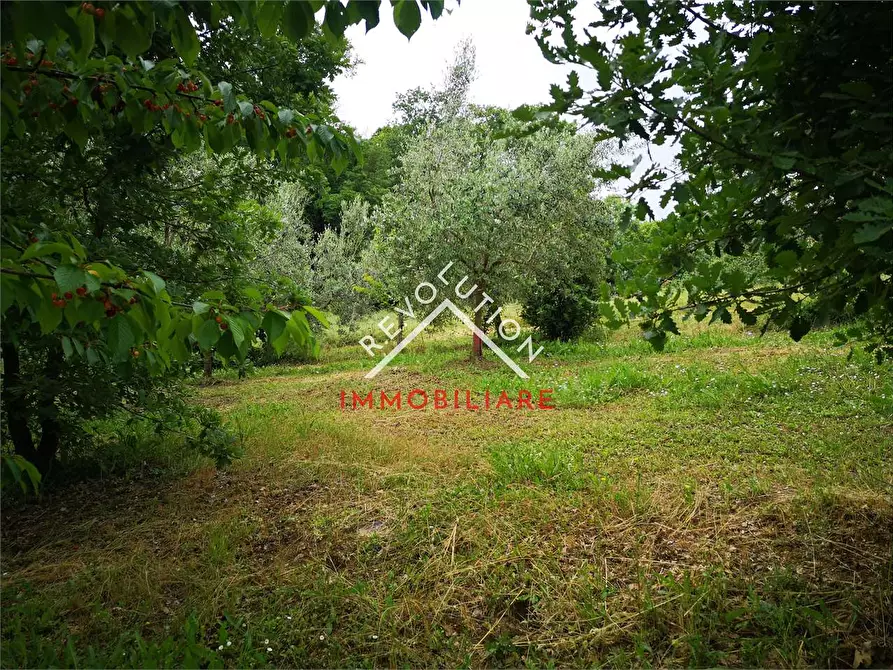 Immagine 20 di Terreno agricolo in vendita  in Via Aretina a Città Di Castello