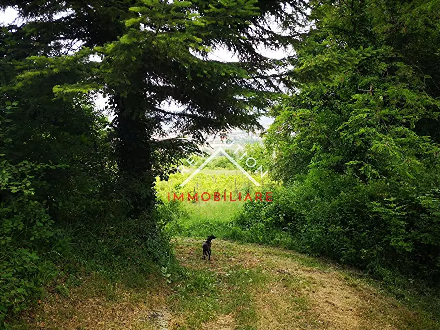 Immagine 21 di Terreno agricolo in vendita  in Via Aretina a Città Di Castello