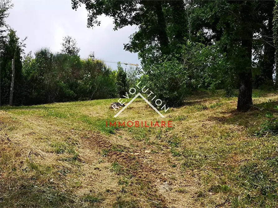 Immagine 22 di Terreno agricolo in vendita  in Via Aretina a Città Di Castello