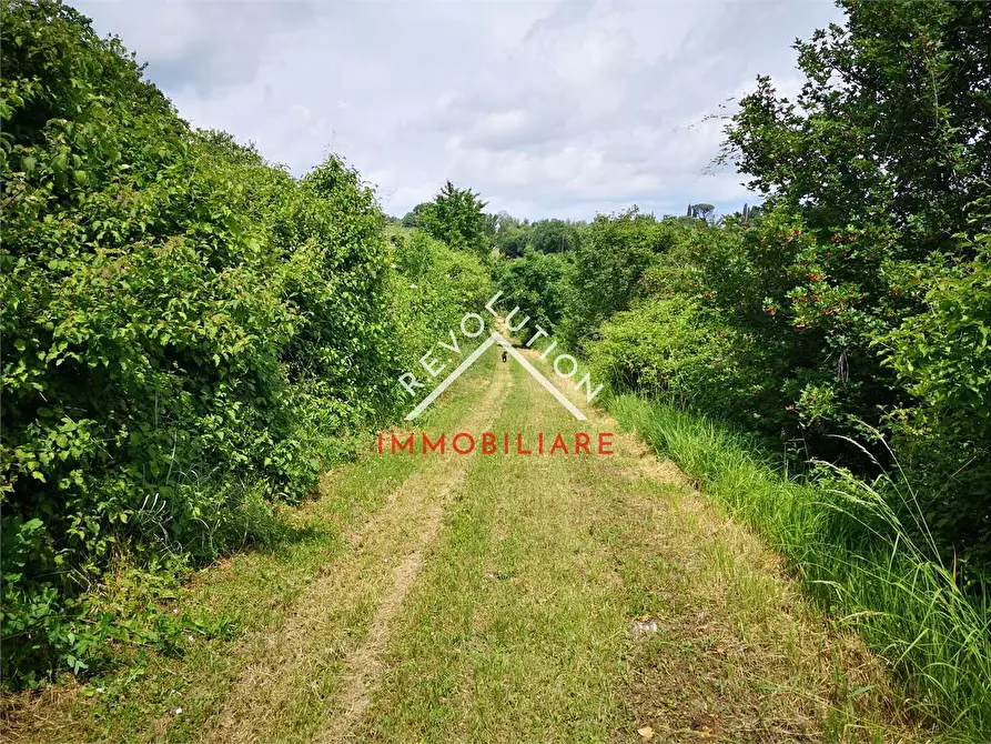 Immagine 25 di Terreno agricolo in vendita  in Via Aretina a Città Di Castello