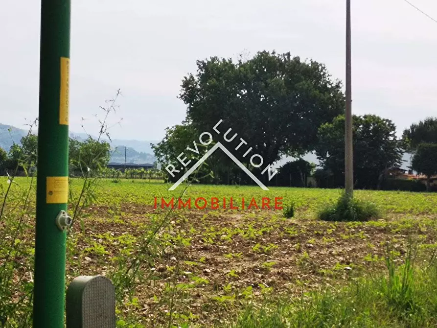 Immagine 4 di Terreno edificabile in vendita  in Via dello Ospedalicchio a San Giustino