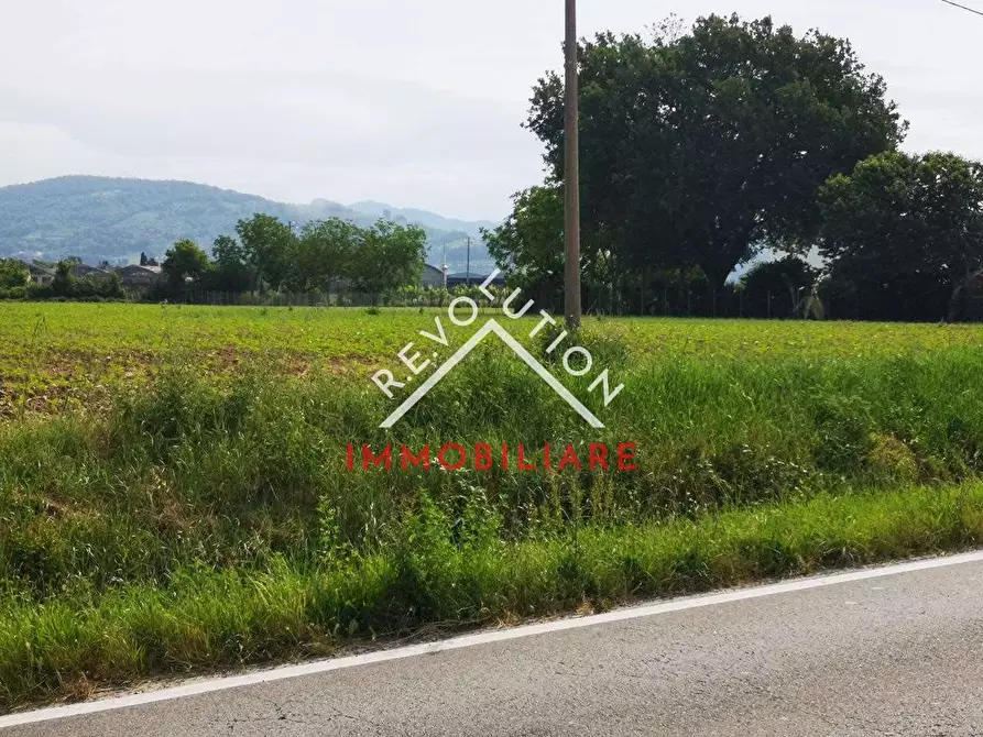 Immagine 5 di Terreno edificabile in vendita  in Via dello Ospedalicchio a San Giustino
